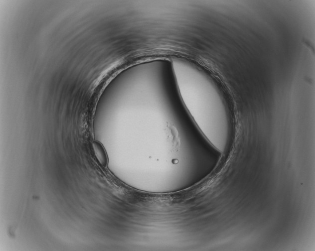 X0000103171210200808221120
