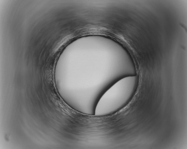 X0000103171211200808221121