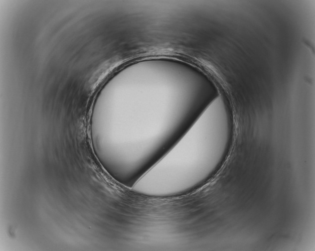 X0000103171212200808221121