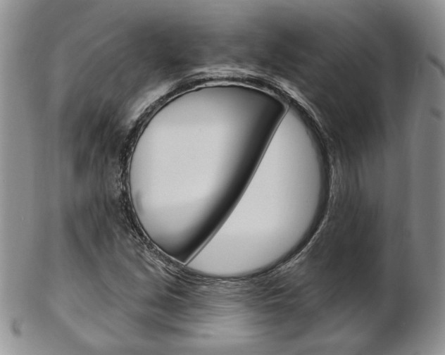 X0000103171213200808221121