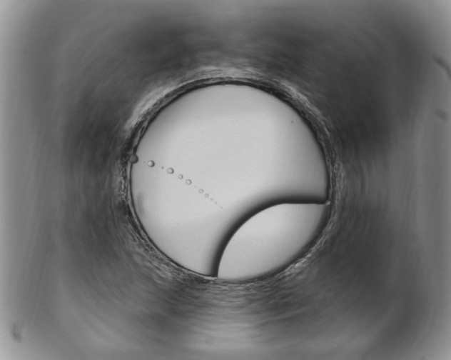 X0000103171215200808221121