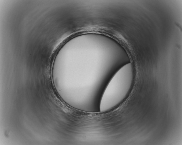 X0000103171216200808221121