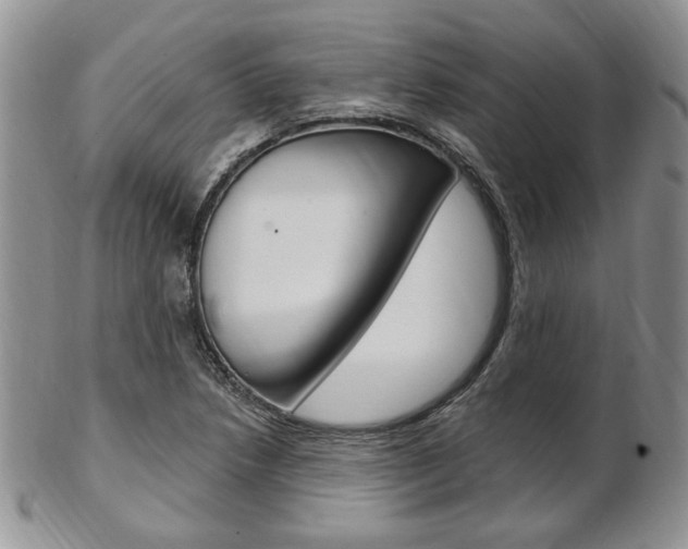 X0000103171218200808221121