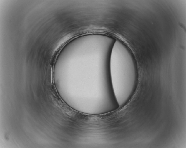 X0000103171219200808221121
