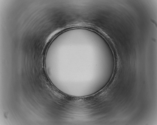 X0000103171222200808221121
