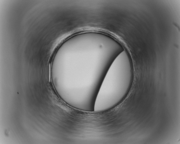 X0000103171223200808221121