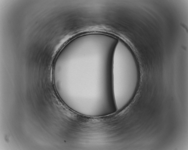 X0000103171224200808221121