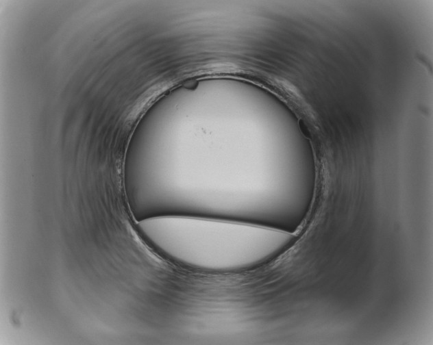 X0000103171225200808221121