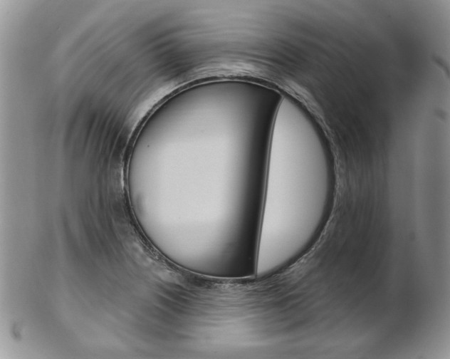 X0000103171226200808221121