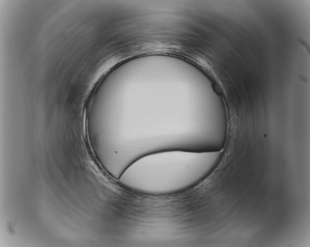 X0000103171227200808221121