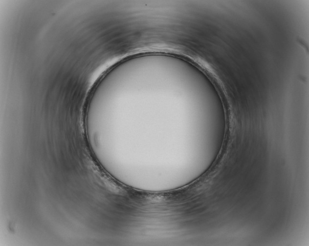 X0000103171230200808221121