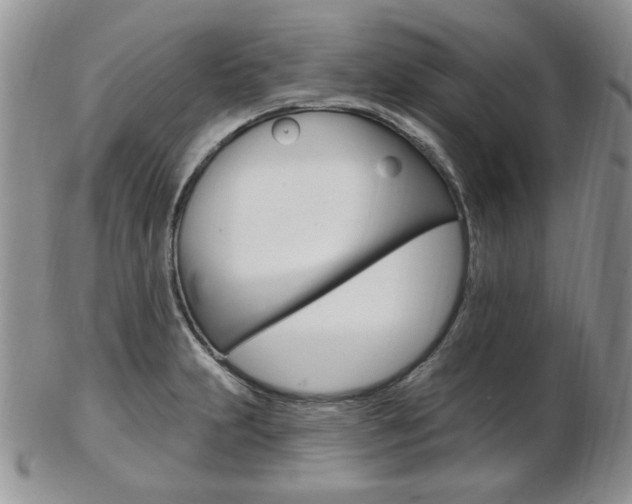X0000103171231200808221121