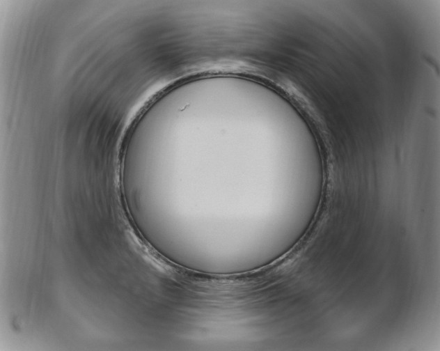 X0000103171232200808221121