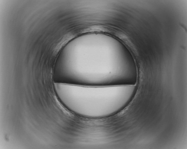 X0000103171233200808221121