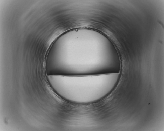 X0000103171234200808221121