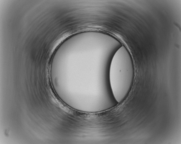 X0000103171235200808221121