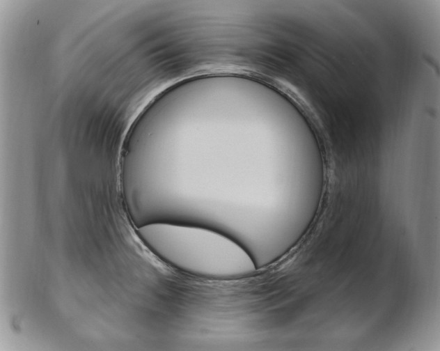 X0000103171236200808221121