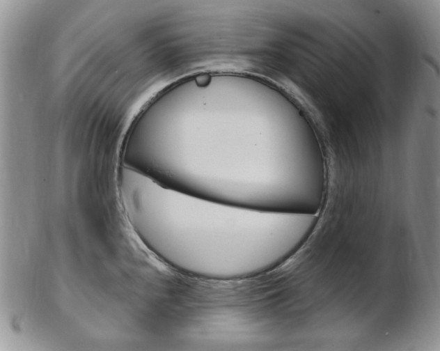 X0000103171240200808221121