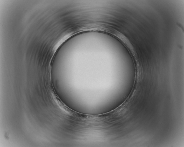 X0000103171242200808221121