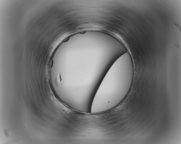 X0000103171243200808221121