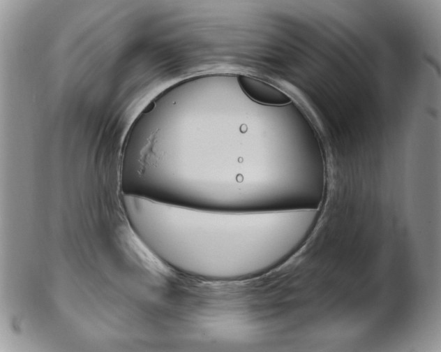 X0000103171244200808221121