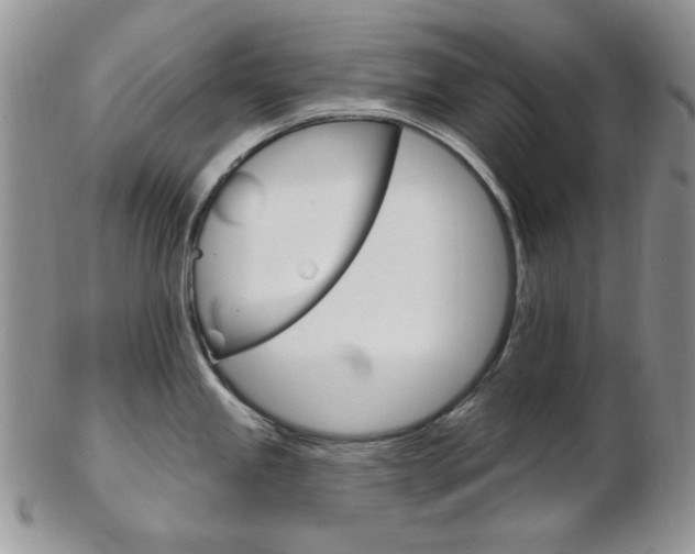 X0000103171245200808221121