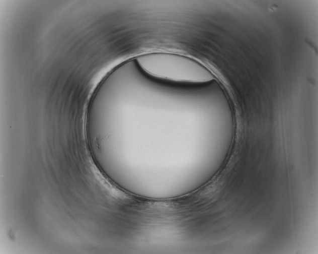 X0000103171246200808221121
