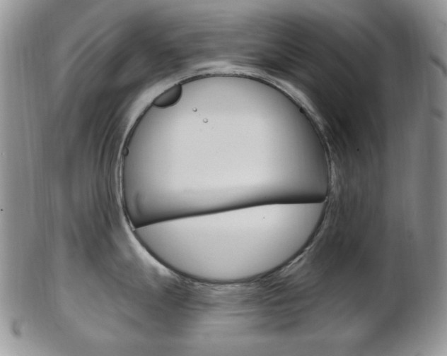 X0000103171247200808221121