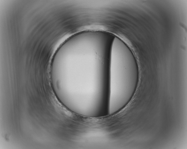 X0000103171248200808221121