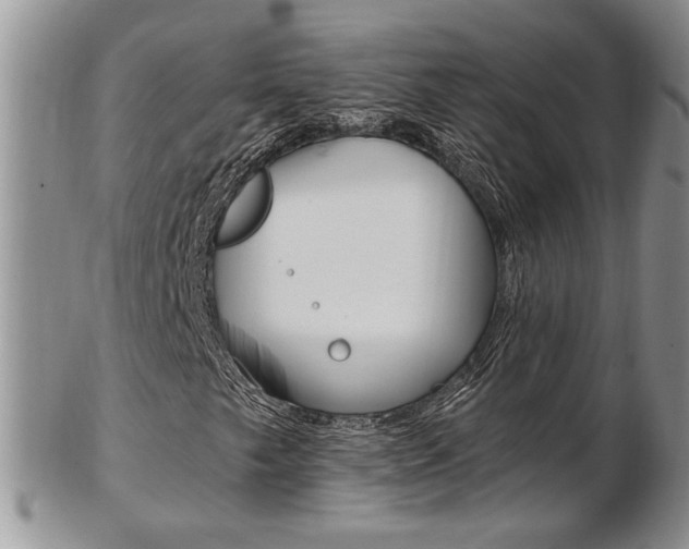 X0000103171249200808221120