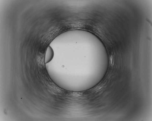 X0000103171251200808221120