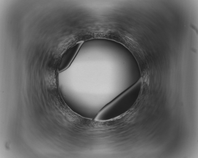 X0000103171252200808221120