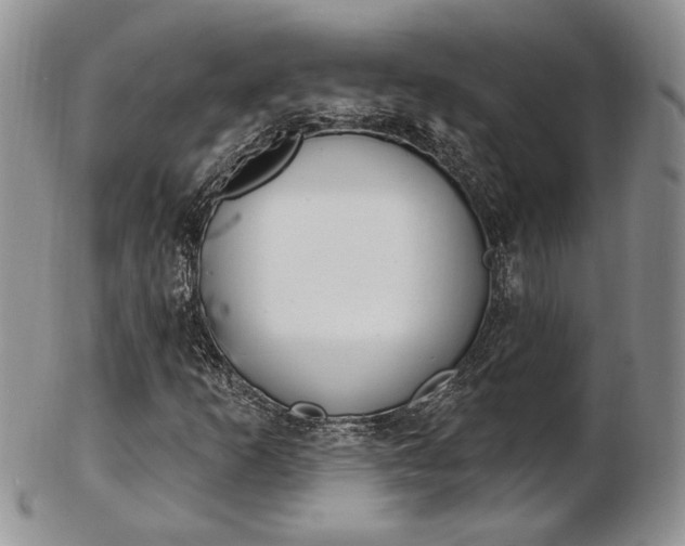 X0000103171253200808221120