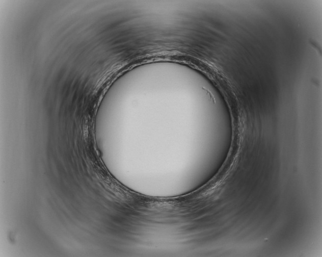 X0000103171257200808221120