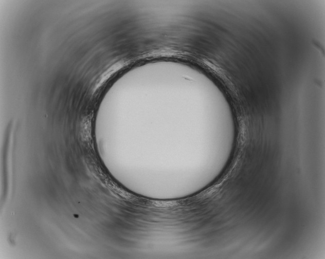 X0000103171258200808221120