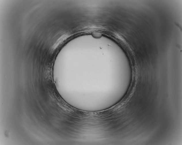 X0000103171259200808221120
