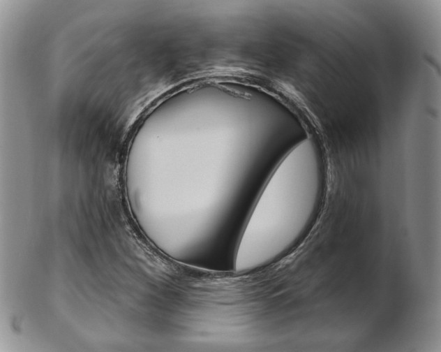 X0000103171260200808221120