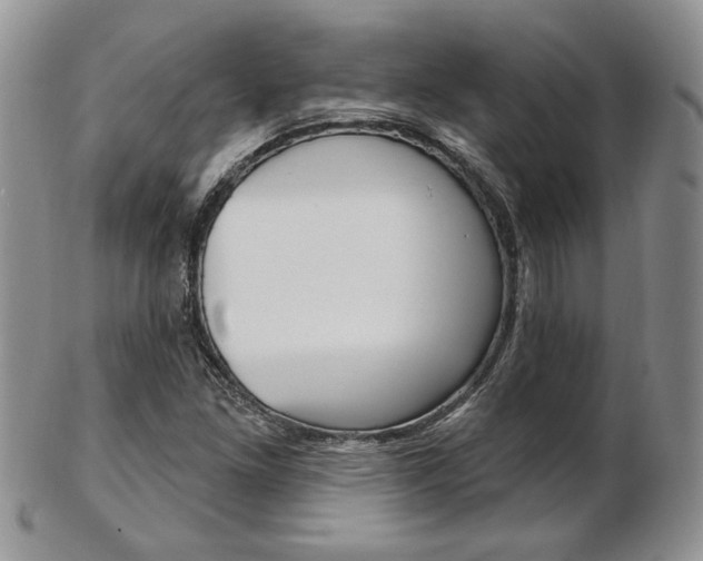 X0000103171261200808221120