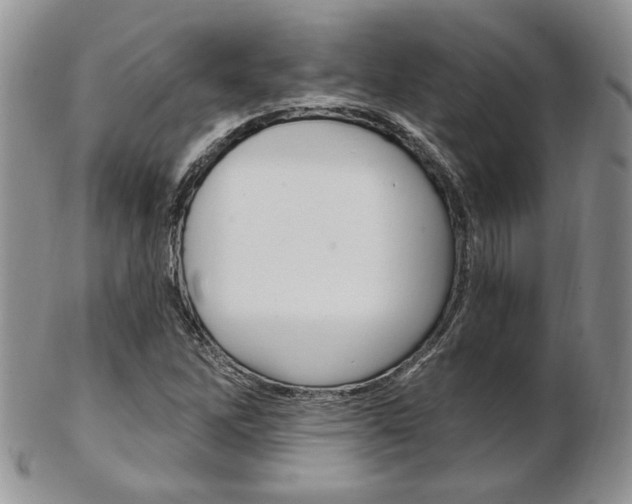 X0000103171262200808221120