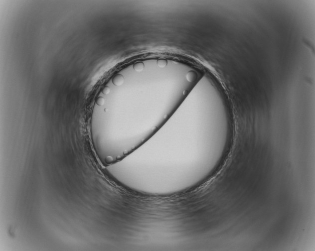 X0000103171263200808221120