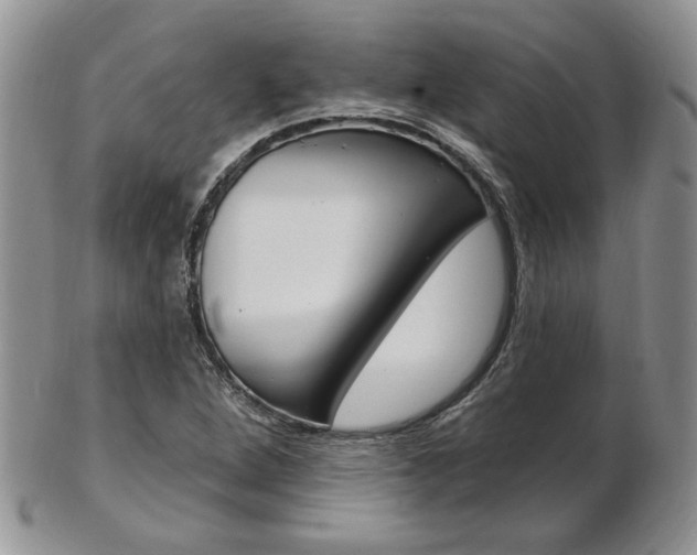 X0000103171264200808221120