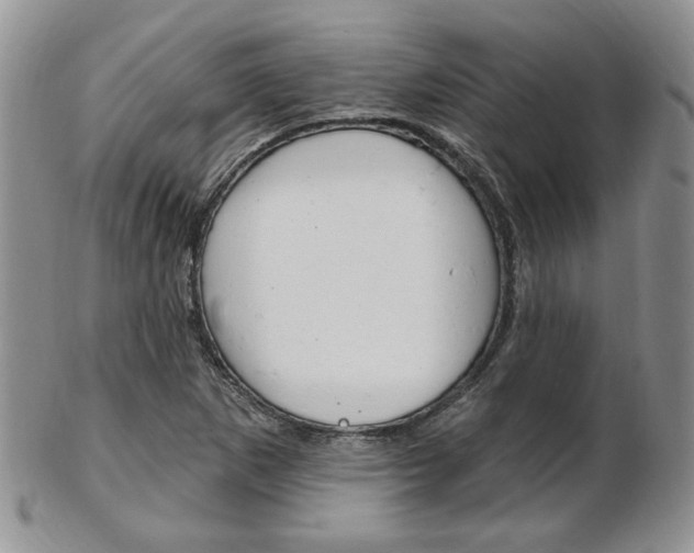X0000103171265200808221120