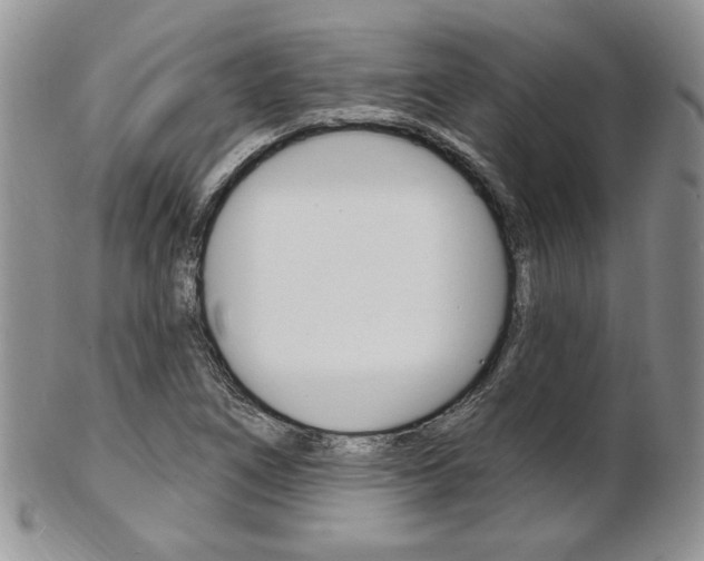 X0000103171266200808221120