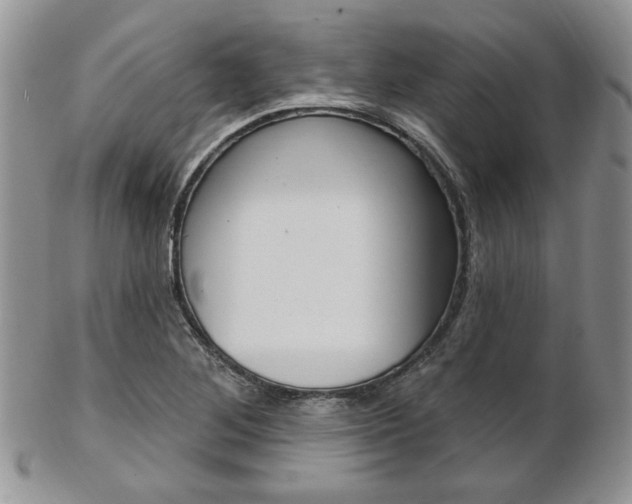 X0000103171268200808221120
