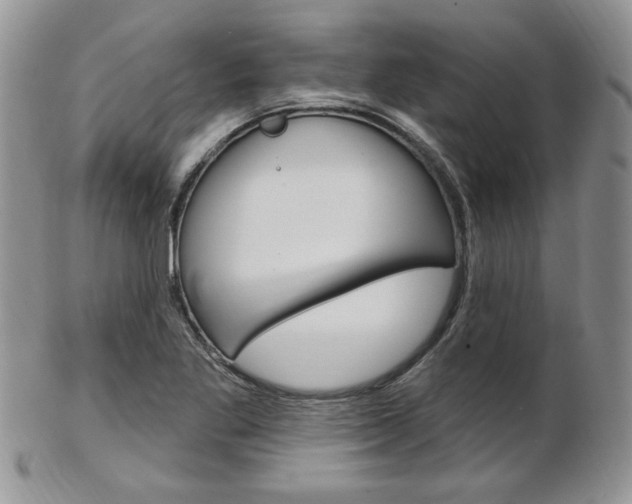 X0000103171269200808221120
