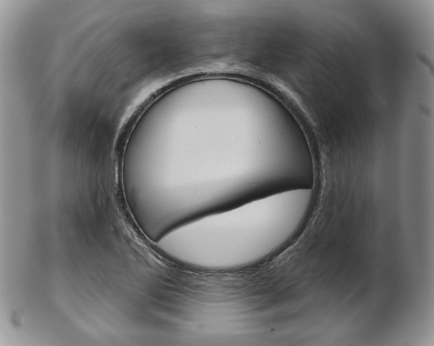 X0000103171270200808221120