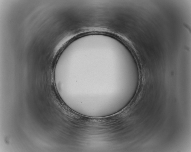 X0000103171271200808221120
