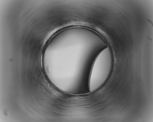 X0000103171272200808221120