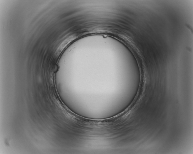 X0000103171273200808221120