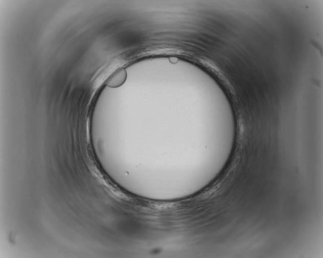 X0000103171274200808221120